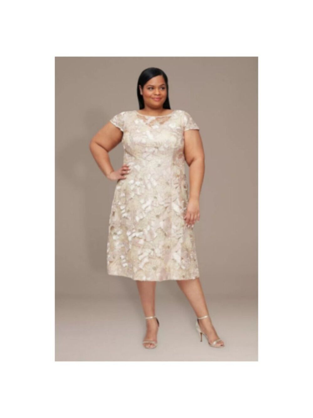 ✨Alex Evenings Knee Length A-Line Soutache Dress With Cap Sleeve 16W NWT